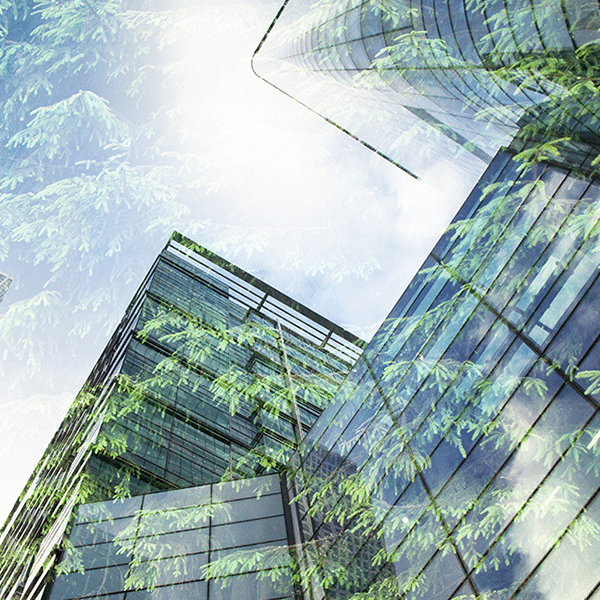 Buildings with faded trees overlay